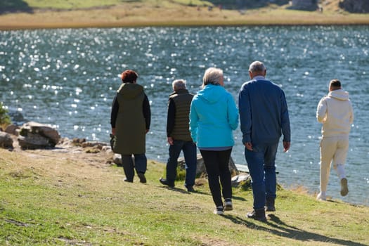 Elderly couple strolling through the breathtaking beauty of nature, maintaining their vitality and serenity, embracing the joys of a health-conscious and harmonious lifestyle.