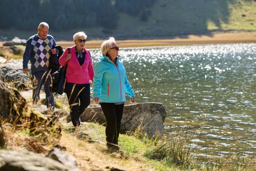 A family shares delightful moments with their friends amid the stunning landscapes of mountains, lakes, and winding paths, promoting a healthy lifestyle and the joy of familial bonds in the embrace of nature's beauty.