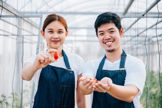 Amidst nature's bounty an Asian farming couple joyfully holds organic tomatoes and vegetables in a greenhouse. Their smiling portrait exudes confidence and happiness in their farming occupation.