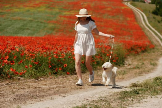 woman with dog. Happy woman walking with white dog the road along a blooming poppy field on a sunny day, She is wearing a white dress and a hat. On a walk with dog.