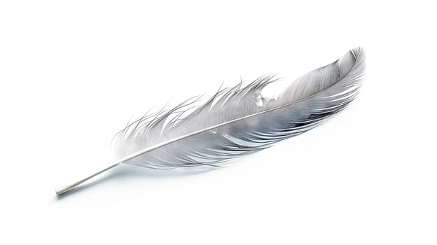 Bird feather on white background. Beautiful bird plumage or wing element, isolated smooth feather. Generated AI