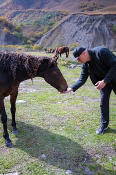 Man calmly feeding a wild horse right from the palm of his hand in secluded mountains