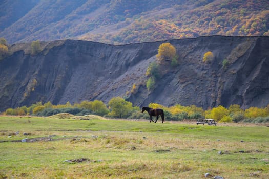 The graceful horse fully experiences the majesty of the mountainous terrain.