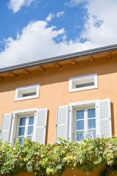 White windows with shutters on the yellow facade of an ancient villa entwined with green grapes. High quality photo