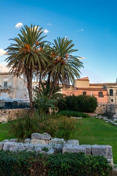 Palms at Remains of Temple of Apollo at Piazza Pancali on Ortigia island