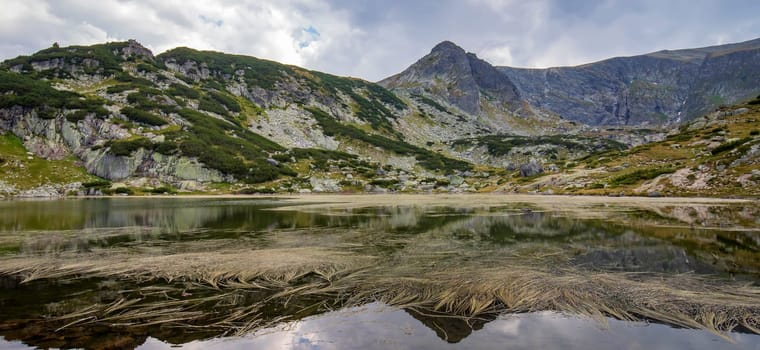 Panoramic view of mountain lake with plants in Rila mountain, Bulgaria