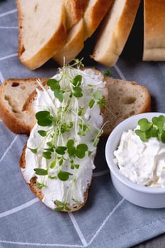 Sandwich with cottage cheese. Healthy eating concept.