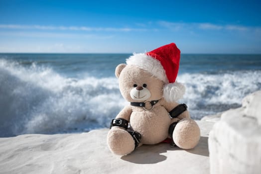 A New Year's teddy bear in a Santa Claus hat in a leather bdsm strap against the background of sea and splashing waves on white stones. High Quality Full HD footage