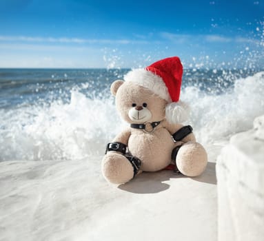 A New Year's teddy bear in a Santa Claus hat in a leather bdsm strap against the background of sea and splashing waves on white stones. High Quality Full HD footage