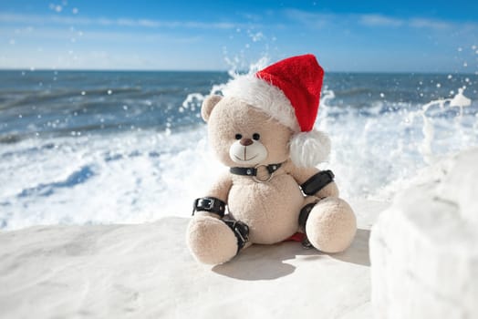 A New Year's teddy bear in a Santa Claus hat in a leather bdsm strap against the background of sea and splashing waves on white stones. High Quality Full HD footage