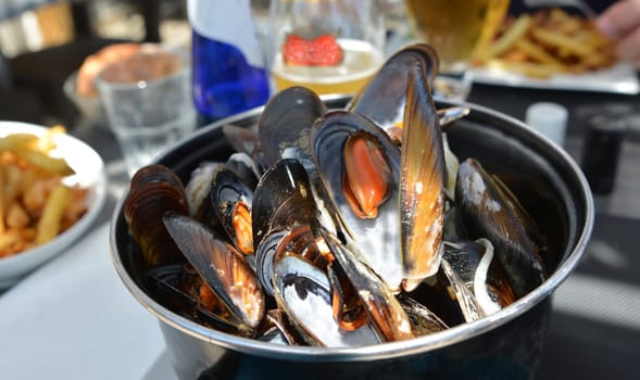 Mussel in Casserole french delicacy in a restaurante