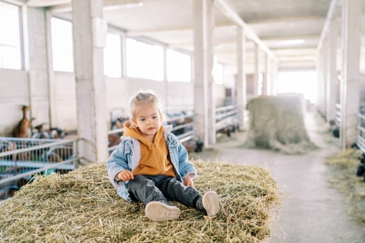 Little thoughtful girl sitting on a bale of hay at the farm near the goat pens. High quality photo