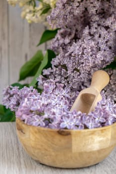 Wooden Bowl with wooden spoon of fresh purple lilac petals with branch of blooming lilac. Lilac flowers fragrance. Concept for spa wellness and aromatherapy. Copy space Still life composition springtime. Wallpaper for greeting card, postcard