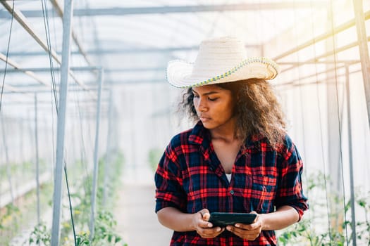 A confident woman farmer in a black shirt checks tomato leaves using her phone in a greenhouse. Her balanced approach integrates technology with nature's growth fostering industry development.