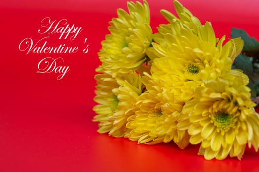 Valentine's Day Greeting with flowers on red background. Greetings and wishes.