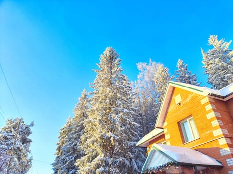 Small rustic house among firs or pines. Winter natural landscape