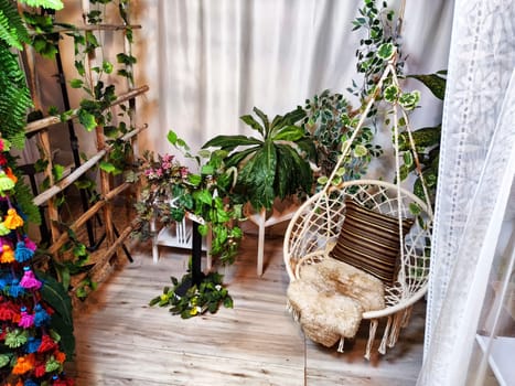 Modern cozy beautiful room with a braided rope macrame chair, green plants and a window with curtains. Interior and background. Location for photo shooting