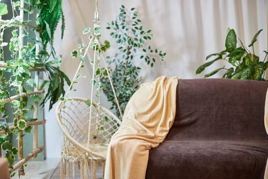 Brown sofa with beige capes in a living room with a flower and a window with curtains. Interior and Home decor