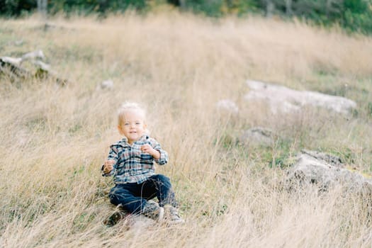 Little girl sits on the lawn and plays with a blade of grass. High quality photo