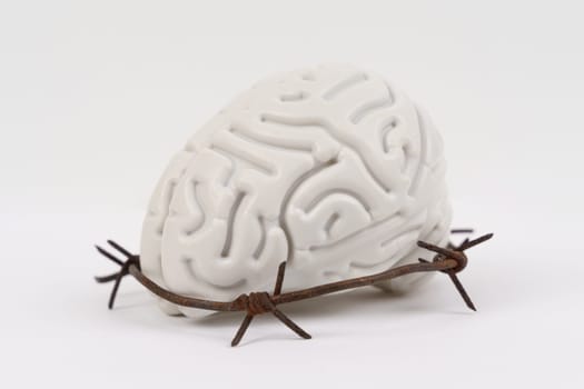 On a white background, a human brain surrounded by barbed wire. Symbol of prohibitions.