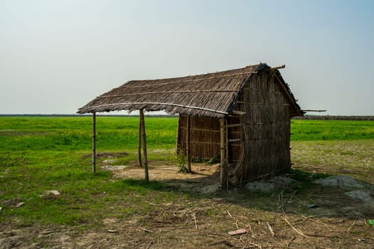 hut made of reeds and bamboo in field