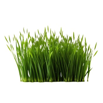 Isolated green grass on a white background AI