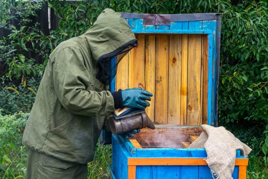 Beekeeper smoking honey bees with bee smoker on the apiary