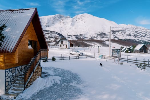 Dog walks sniffing through the snow-covered yard of a wooden cottage in the mountain village. High quality photo