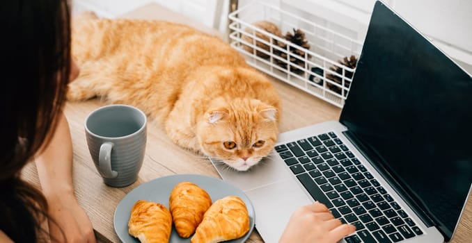 A woman, seated at her desk, finds delight in her Scottish Fold cat's presence while working on her laptop. Their connection highlights the beautiful synergy between work and pets.