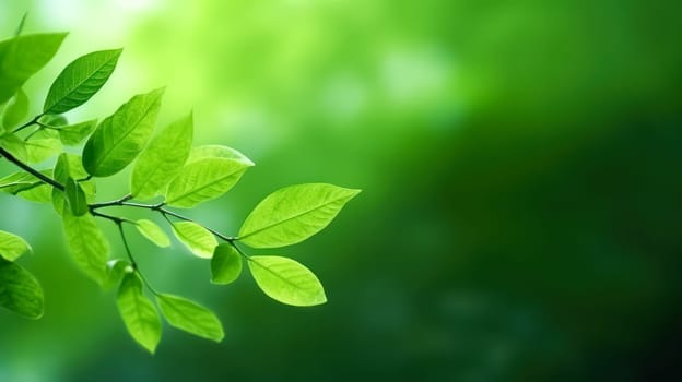 Lush green leaves in a summer garden, a testament to the vibrant beauty of nature. A serene backdrop, perfect for conveying the essence of eco friendly living.