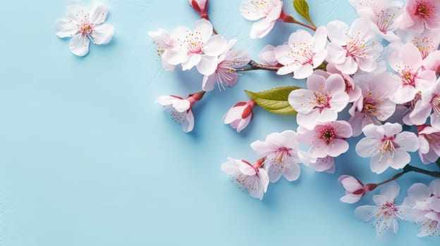 Gorgeous spring cherry branches adorned with delicate white flowers set against a soft light blue background. Petals gently falling, welcoming the beauty of spring. Ample copy space.