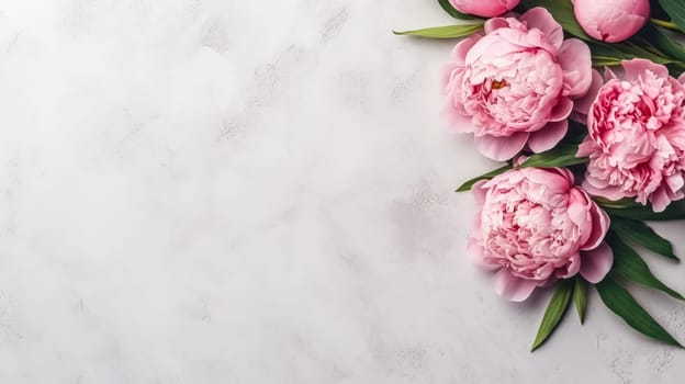 Elegant pink peonies gracefully isolated on a chic gray background, providing a visually stunning composition with ample copy space.