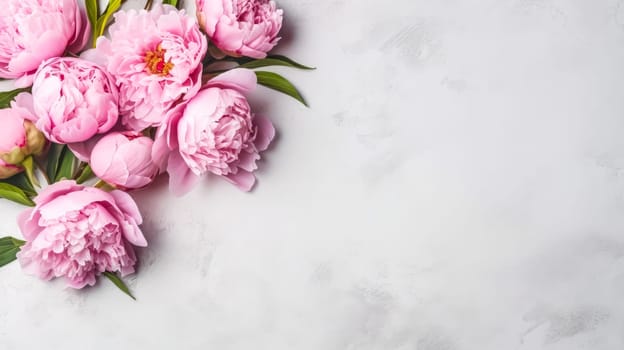 Elegant pink peonies gracefully isolated on a chic gray background, providing a visually stunning composition with ample copy space.