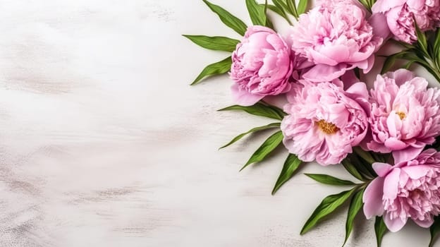 Elegant pink peonies gracefully isolated on a chic gray background, providing a visually stunning composition with ample copy space.