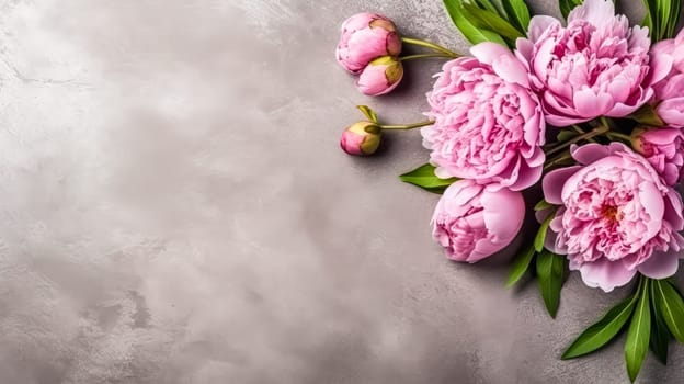 Elegant pink peonies gracefully isolated on a chic gray background, providing a visually stunning composition with ample copy space.