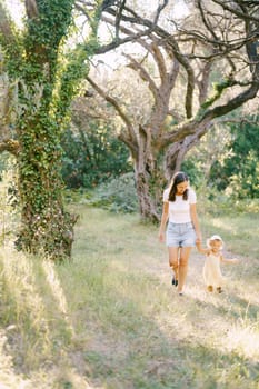 Mom with a little girl holding hands walk through the olive grove. High quality photo