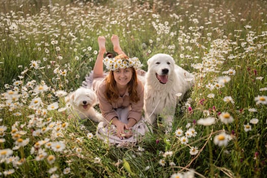 Woman dogs meadow chamomile. Woman embraces her furry friends in a serene chamomile field, surrounded by lush greenery. A heartwarming display of love and companionship between a woman and her dog