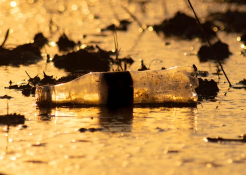 Plastic pollution in rivers. Bottles, plastic bags thrown into the river pollute the water. A group of common green bottle fly are swarming the trash in the river.