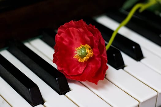 Red plastic flower on piano keys close up