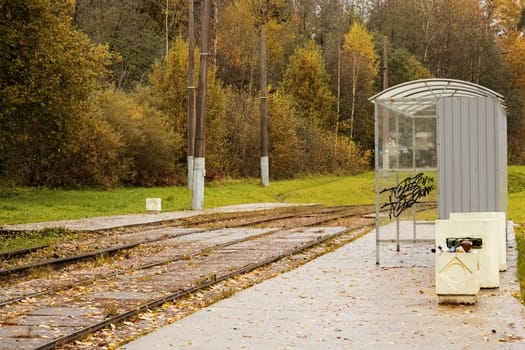 Tram rails and stop station in the autumn forest