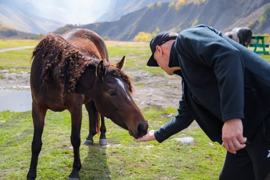 Man calmly feeding a wild horse right from the palm of his hand in secluded mountains