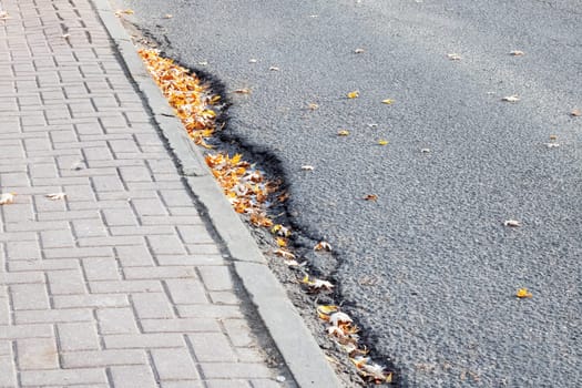 Yellow leaves on the sidewalk and pavement close up