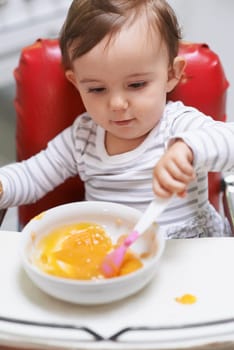 Baby, high chair and bowl for meal, nutrition or healthy porridge with spoon to eat food at home. Young adorable cute little child, kid or toddler playing with snack for hunger, vitamins or nutrients.