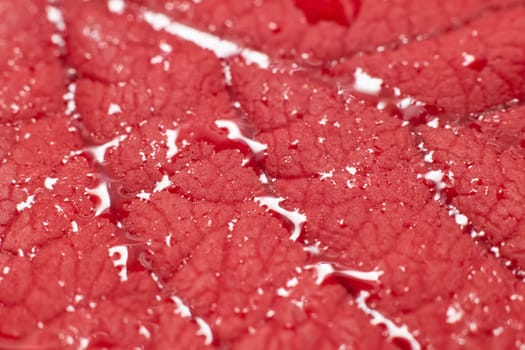 Veins on a red leaf from a tree with water drops close up