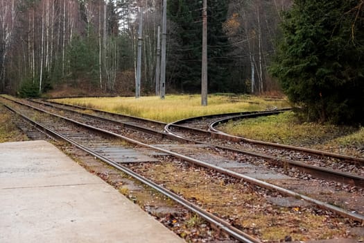 Tram rails in the yellow autumn forest close up