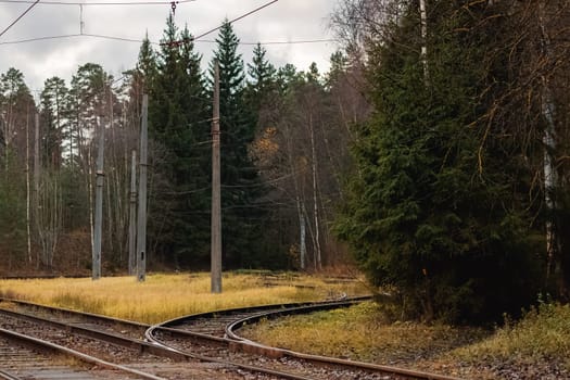 Tram rails in the yellow autumn forest close up