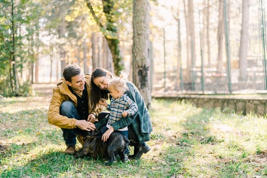 Little girl looks at mom and dad stroking a french bulldog in the forest. High quality photo