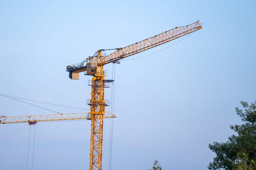 Construction crane takes a pause, captivatingly silhouetted in the midst of a lush forest.