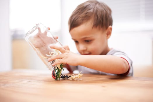 Child, toys and insect or development play for growth curiosity, education or bug jar. Kid, animals and game or learning kindergarten for teaching discovery or creativity games, coordination or skill.