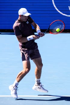 MELBOURNE, AUSTRALIA - JANUARY 11: Sir Andy Murray of Great Britain on his way to beating Dominic Thiem of Austria during day two of the 2024 Kooyong Classic at Kooyong on January 11, 2024 in Melbourne, Australia.